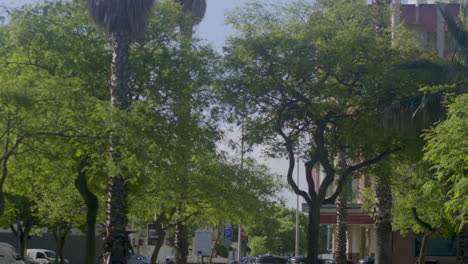 Some trees standing there on the town square.