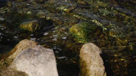 Small-waves-on-the-pebble-beach