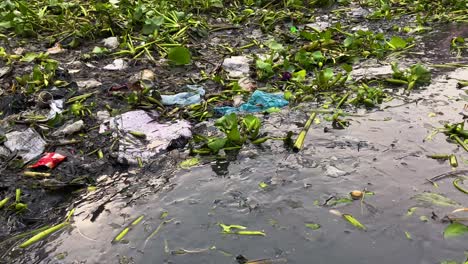 Water-Hyacinth-And-Trashes-Over-Polluted-Buriganga-River-Near-Dhaka-City,-Bangladesh