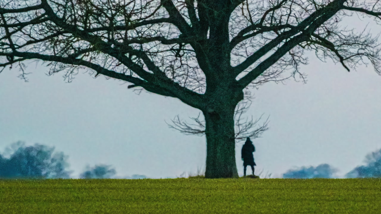 Atmospheric telephoto timelapse capturing a lone silhouetted woman in coat beneath a barren tree on golden grass hill amid foggy autumn landscape and distant trees