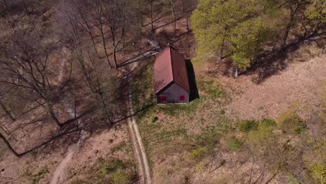 disparo de dron desde el cobertizo en el bosque, bosques con buen clima soleado