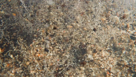 pebbles sink to bottom covered with stones and plants