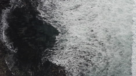 Toma-De-Seguimiento-Cenital-De-4k-De-Olas-Moviéndose-A-Través-De-Una-Laguna-De-Algas-Marinas-Con-Focas-En-Monterey,-California