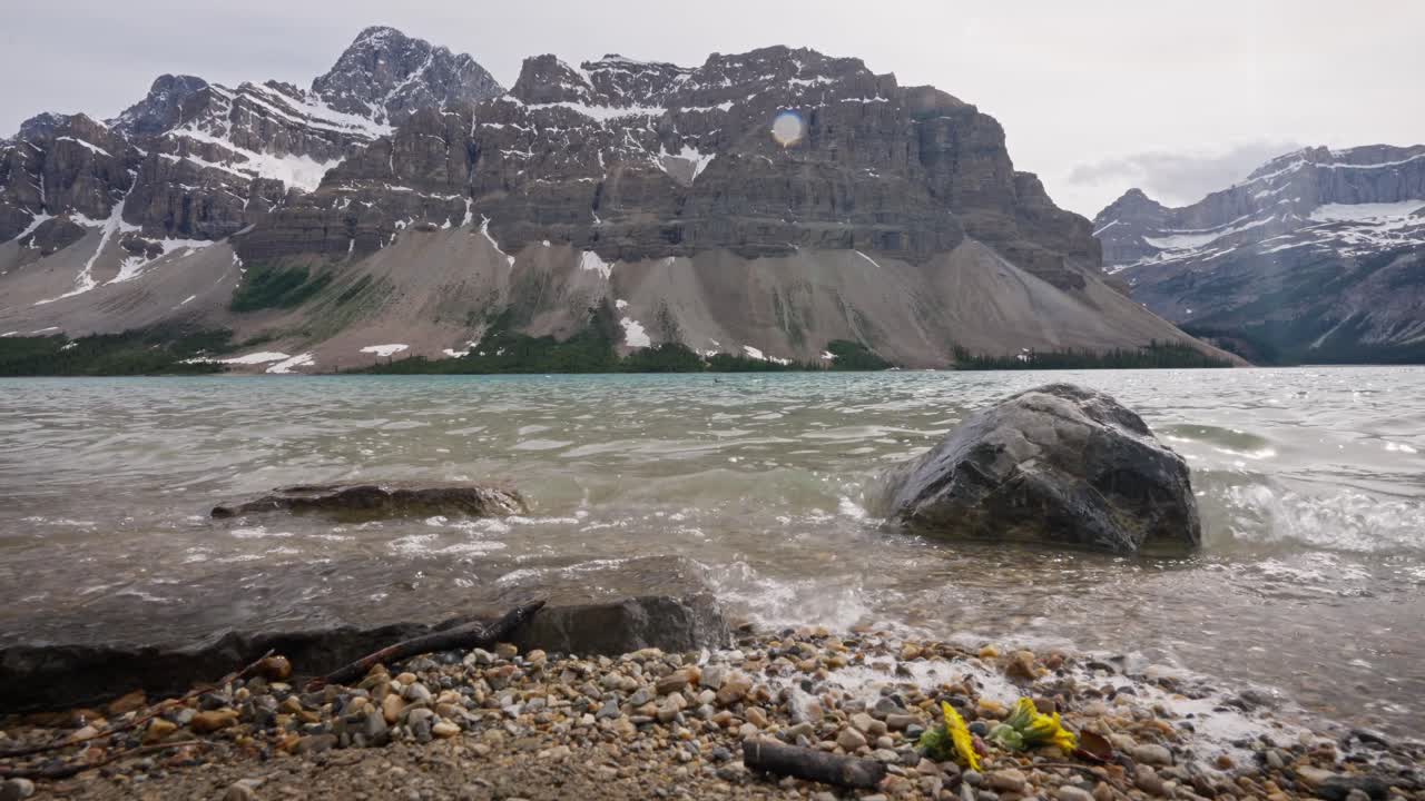 Lo splendido lago Bow color turchese alimentato dai ghiacciai, situato in Alberta, Canada, direttamente sulla Icefields Parkway nel Banff National Park, con onde che lambiscono delicatamente la riva e fiori in primo piano