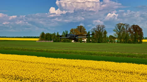 drone flying over the canola fields with yellow flowers blooming in the fields. - tracking shot