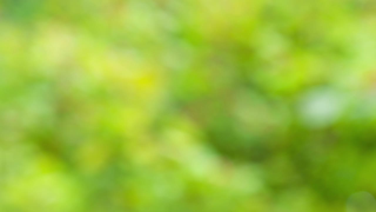 fondo de color abstracto con movimiento bokeh