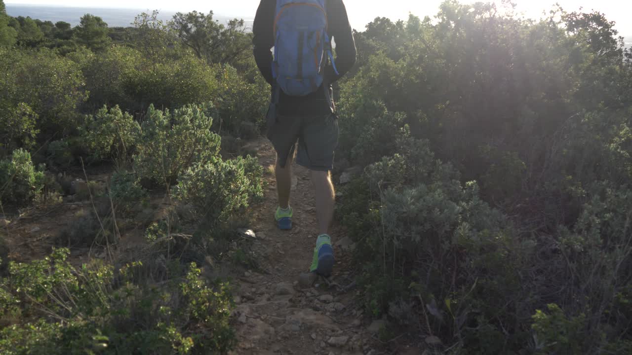 Man walking in the mountains with lots of trees and bushes in Murcia Spain