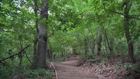 man traveler walks down the stairs in the park