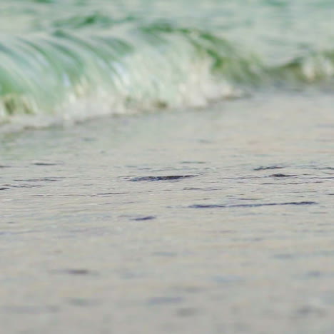 sea waves with foam beat on the sandy coast in warm weather in the summer. tides. beauty of nature.