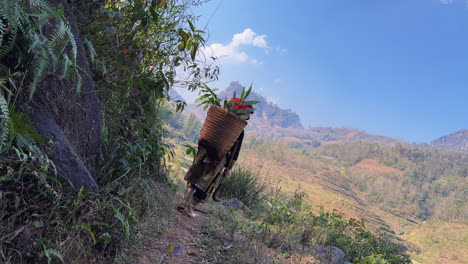 a woman with a woven basket on her back and a sickle knife in her hands.