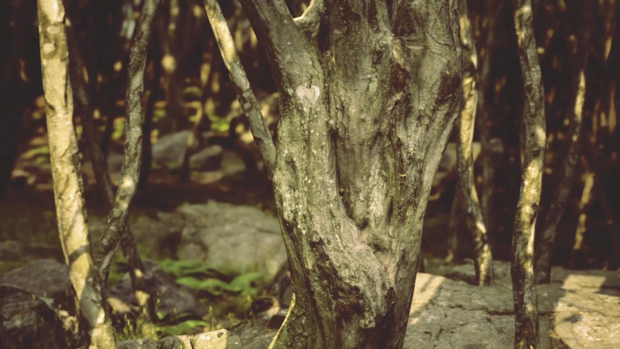 Tranquil wetland environment highlighting ancient ecological features