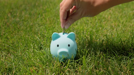 a man puts coins in a piggy bank that stands on a green lawn