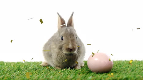 Animation-of-confetti-falling-over-rabbit-with-egg-on-white-background