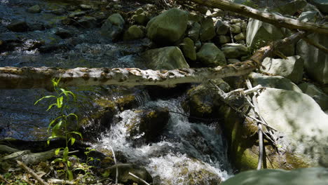 toma en cámara lenta de una cascada con un árbol caído sobre ella corriendo hacia un pequeño riachuelo ubicado en los tazones de ponche de santa paula en el sur de california
