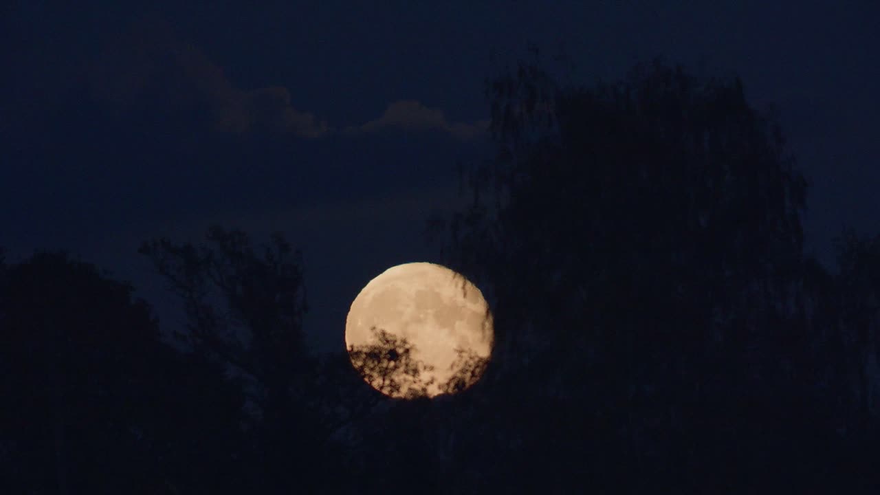 Nascer dramático da lua baixa através de fina camada de nuvens e árvores timelapse forte perturbação do ar
