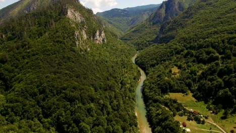 canyon of the river tara from above. montenegro.aerial drone footage