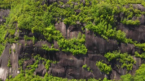Seychelles-Mahe-Victoria-Cliffs-Aerial-Drone-1.mp4
