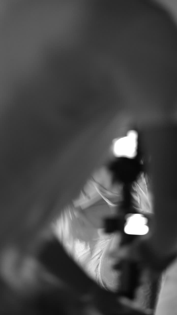 Black and white dance