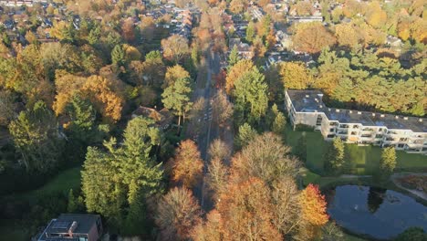 jib down of cars driving over a long road in a rustic town on a sunny autumn day