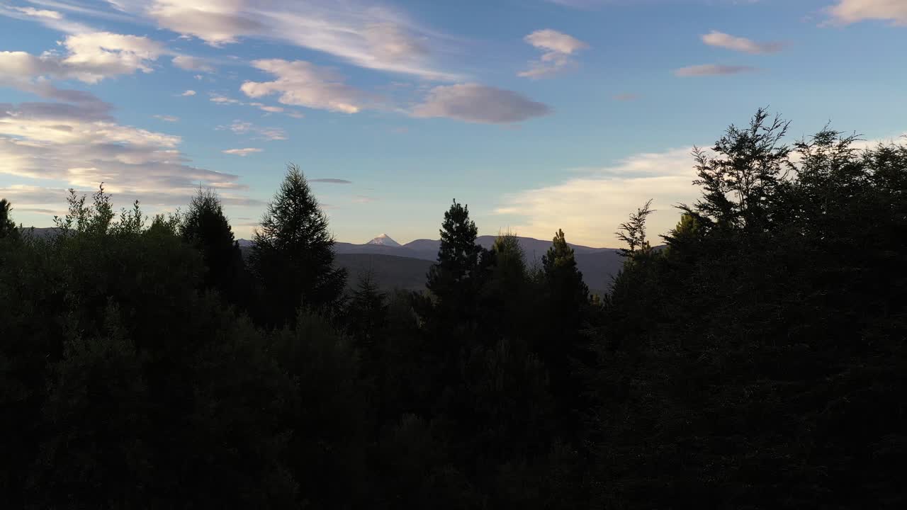 toma aérea de camiones que muestra la silueta de los árboles en el bosque y el volcán lanín en el fondo, patagonia argentina