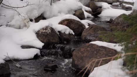 Pan-over-a-forest-stream-in-winter-with-snow