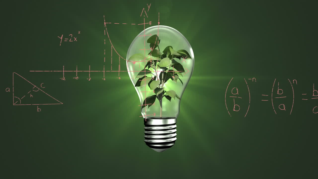 녹색 배경에 대한 수학적 방정식과 다이어그램을 통해 불에 있는 식물의 애니메이션