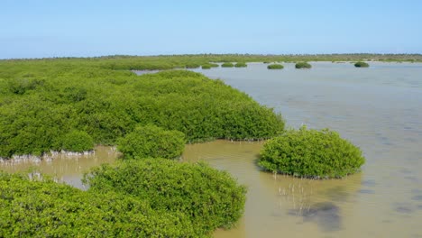 Laguna-De-Oviedo-En-El-Parque-Nacional-Jaragua,-Pedernales,-República-Dominicana