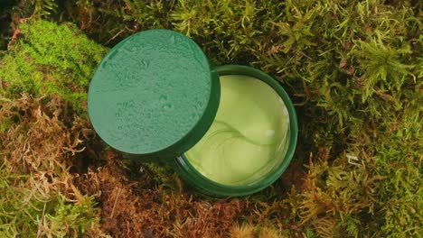 bottle of cosmetics cream serum on moss forest background green leaves. woman make up healthy natural products.