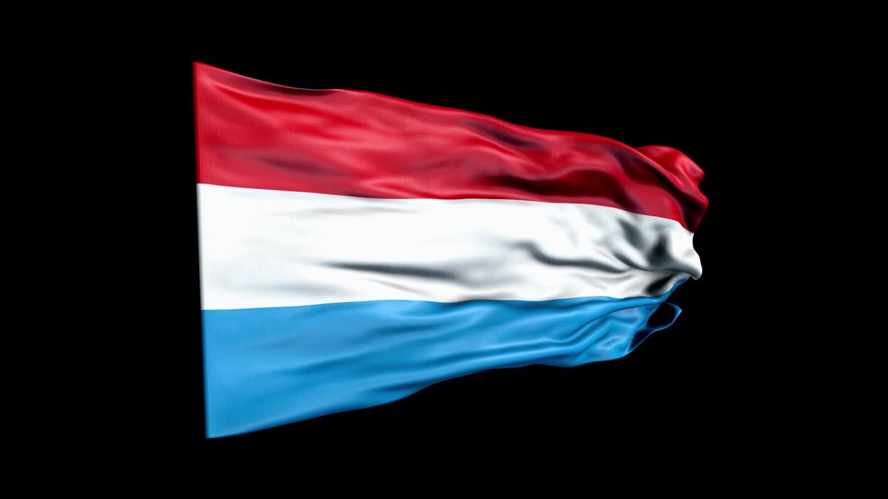 현실적인 룩부르크 발은 3d 애니메이션을 흔들고 있습니다. 룩불의 국기. 4k 룩버그 발 원활한 루프 애니메이션.