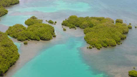 stunning drone flight over the cove st anns bay, jamaica - aerial views of paradise