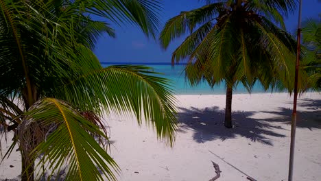 vertical move between the palm trees on a clear day as the drone lands on the white beaches of a tropical island