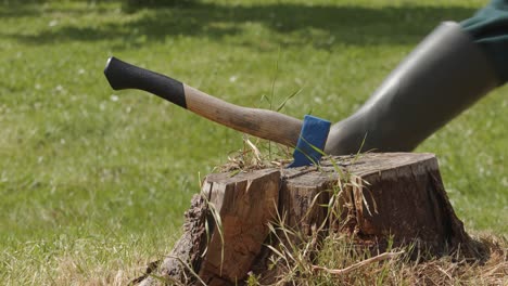 person passes by and hits the ax on tree stump