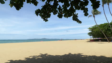 playa con arena de color ocre, una amplia sombra producida por un gran árbol, sombrillas de playa y cocos, horizonte con montañas y una costa diagonal con algunos barcos