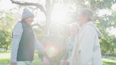 Personas-Mayores,-Choca-Esos-Cinco-Y-Trabajo-En-Equipo-En-La-Naturaleza