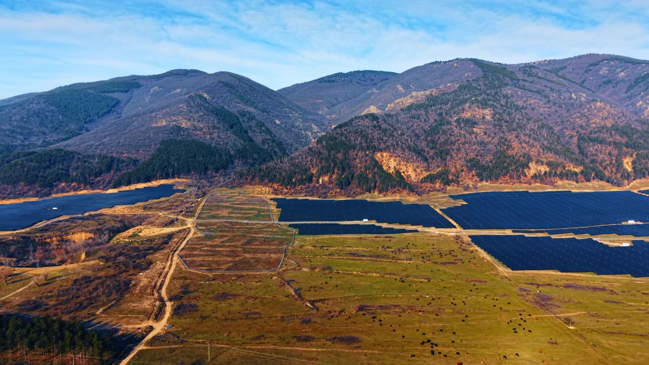 Luce dell'ora d'oro su un impianto fotovoltaico e pascoli in una valle di montagna. Bestiame sparso su un prato verde accanto a schiere di pannelli con creste autunnali sullo sfondo.