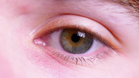 toma macro cinematográfica en cámara lenta de 4k de un ojo izquierdo verde, con motas azules y marrones, abriéndose y mirando a la cámara