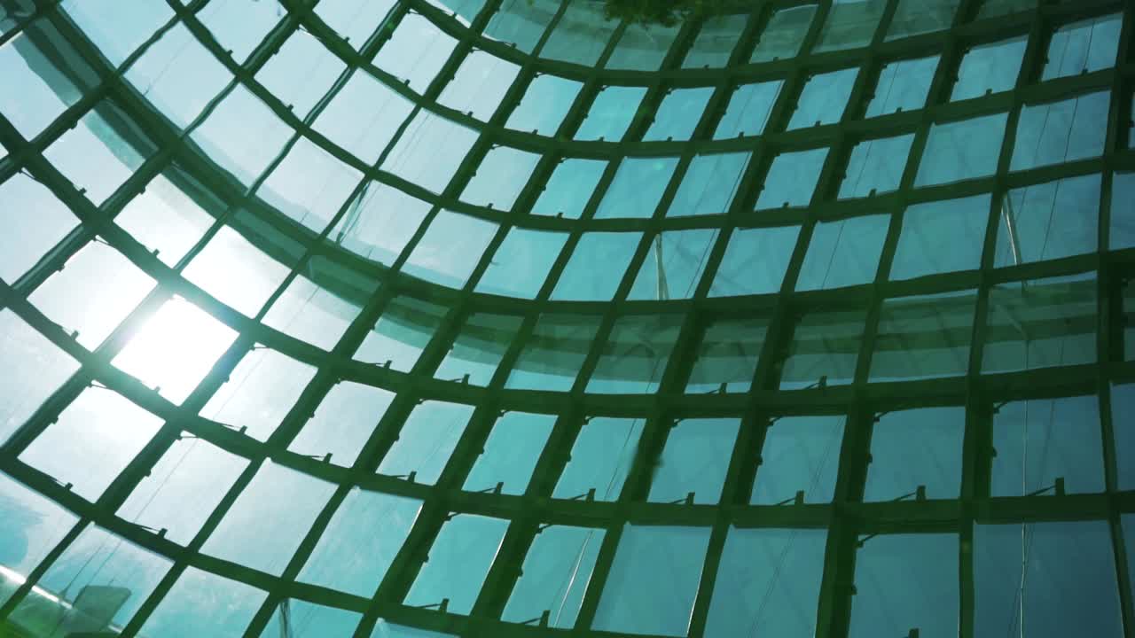 cloud forest sunny day water reflection singapore