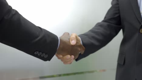 Business Handshake