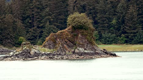 isla rocosa o islote a lo largo de la costa de alaska cerca de juneau - águila en las rocas