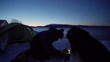 Alaskan-Malamute-Watching-His-Owner-Preparing-Campfire-In-Snow-On-A-Cold-Winter-Night