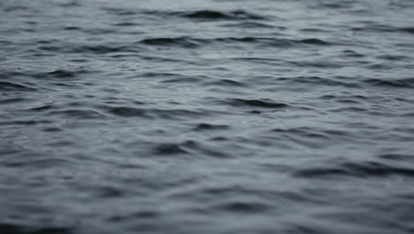 Rippling-water-surface-of-lake