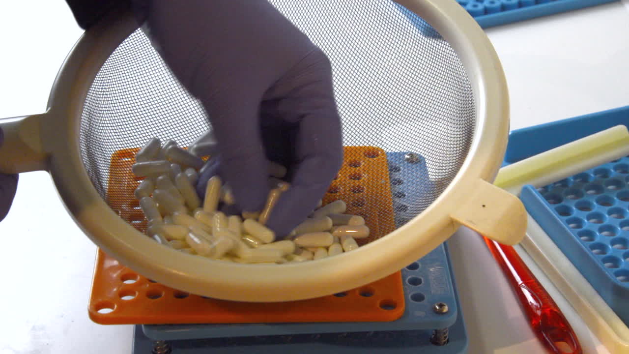 Farmacista che versa capsule di gelatina in una macchina manuale per la produzione di capsule per il riempimento