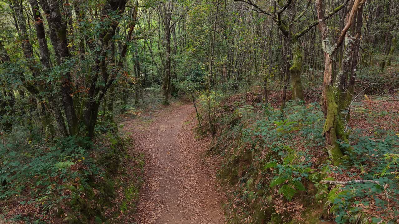 Creepy Routes In The Mountain Hikes Near Vilasantar, A Coruña, Spain. Aerial Pullback Shot