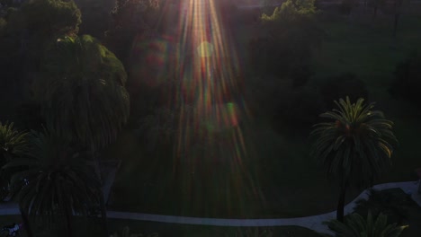 Drone-shot-of-multiple-palm-trees-panning-up-during-golden-sunset-hour-with-sun-flare-and-clear-blue-skies-in-Los-Angeles,-California-park-picnic-area