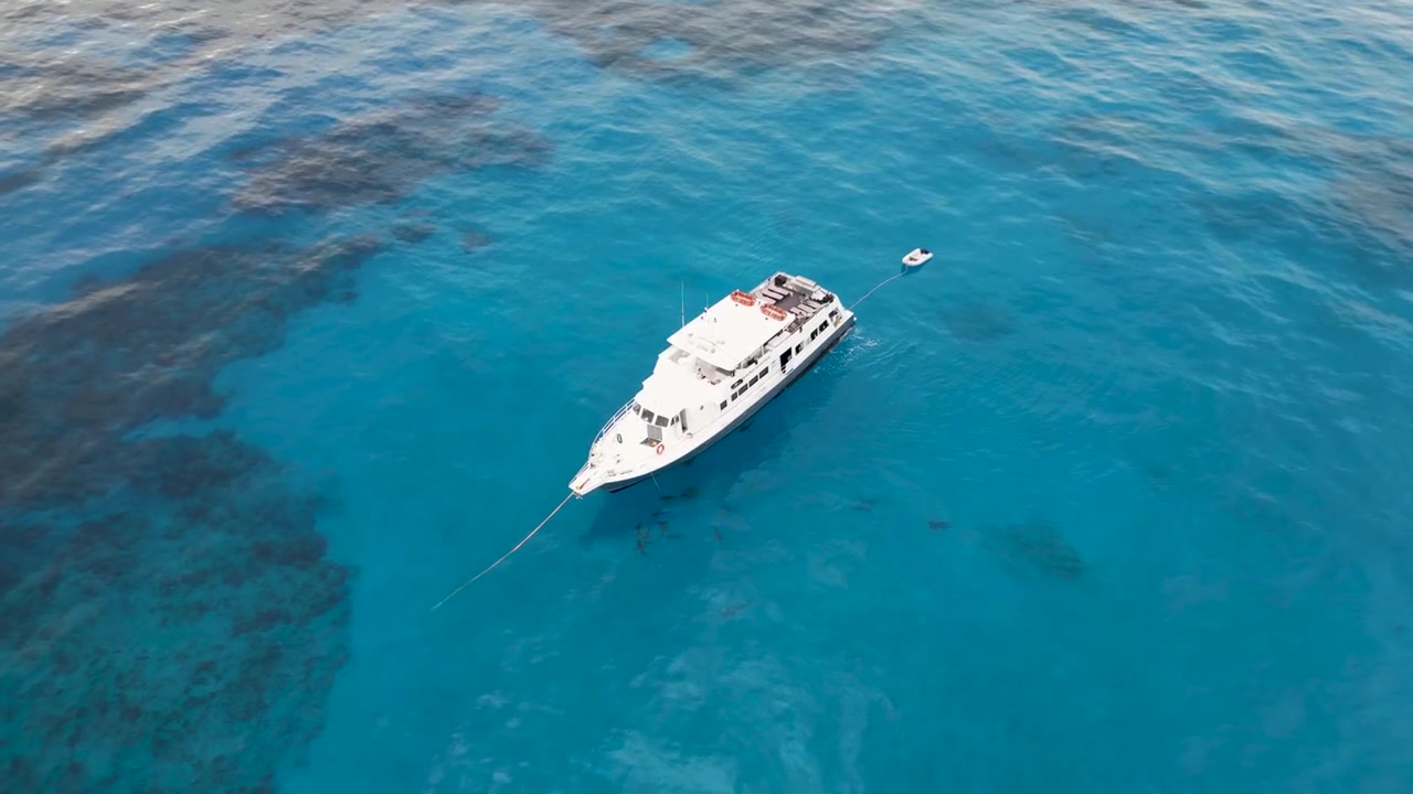 Veduta aerea dall'alto di una barca circondata da squali