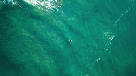 Aerial-top-down-view-of-sup-surfer-paddling-in-middle-of-wavy-sea