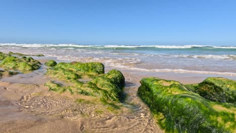 ocean waves hitting moss-covered rocks on the beach