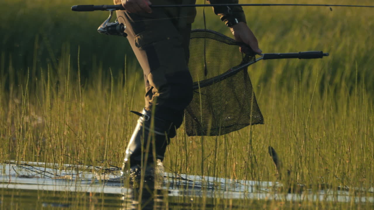 Fisker går på vådområde med fiskegrej ved den gyldne time, tracking-optagelse.
