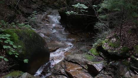 El-Agua-Clara-Corre-A-Través-De-Un-Suelo-Rocoso-Del-Bosque-Mientras-La-Cámara-Se-Inclina-Río-Arriba