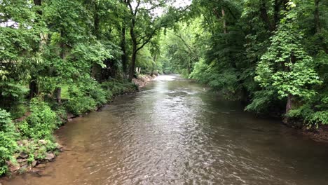 Flowing-river-through-a-dense-forest